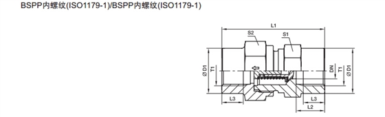 RHDI 单向阀 英制内螺纹-2.jpg RHDI 单向阀 英制内螺纹-2.jpg