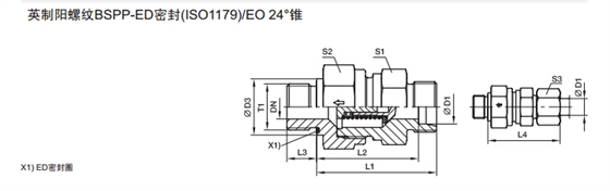 RHZ-R-ED 单向阀 英制螺纹-ED密封-2.jpg RHZ-R-ED 单向阀 英制螺纹-ED密封-2.jpg