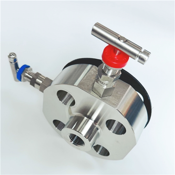 仪表二阀组MF2A-8T1500-T4P-SS-SD.jpg